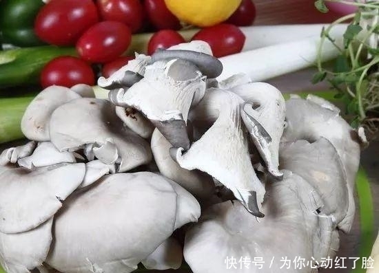 南方人|南方人说: 北方的食物, 是世界上最大的骗子! ?