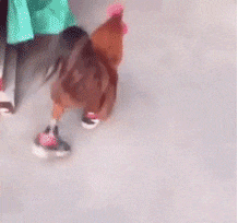  默契|搞笑GIF：好基友，总是这么默契，吸二手烟