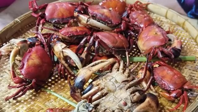 满满|大妈背着篓子卖它,没人看得上,我花50全包了,一吃“惊喜满满”