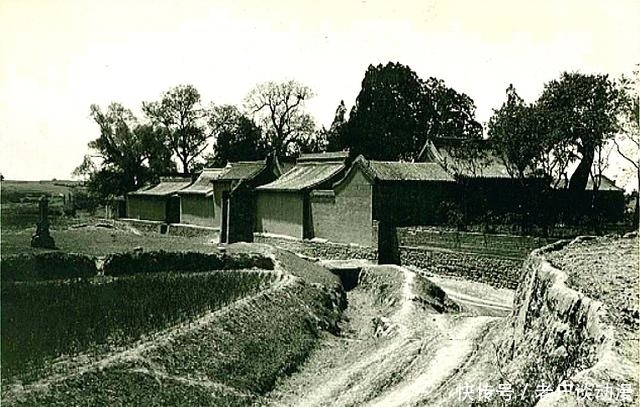 尸体|秃鹰岭无头尸奇案:一句酒后戏言,一具无头尸体,真凶究竟是谁?