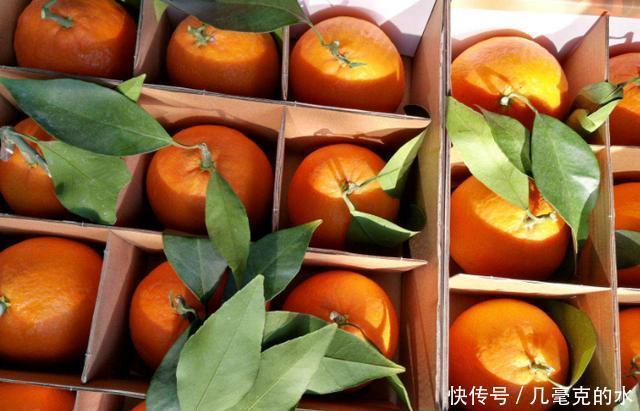 滋味|易家河蜜桔,品位甜中带酸的初恋滋味,吃货快来尝尝