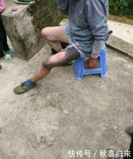 巨型|心痛,农村老汉徒手抓获这条巨型野外生物,结果却因此也害了自己