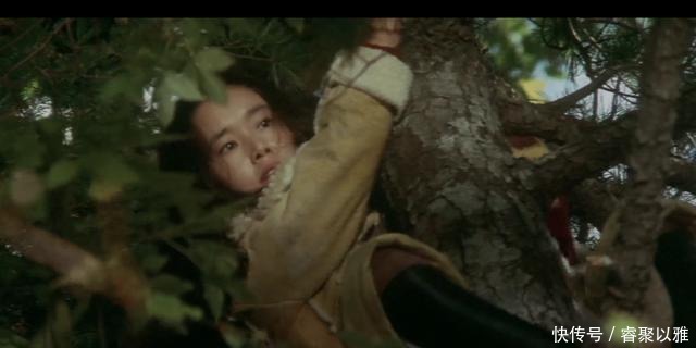 不温不火|电影《追捕》故事,在日本不温不火,删减的内容里有什么