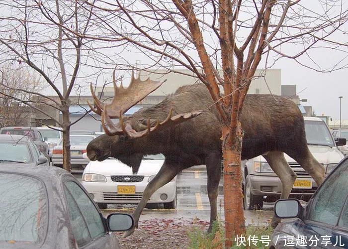 无所不能|那些人类遗忘的角落,大自然无所不能