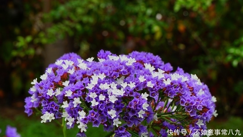 旺盛|九月份开始,桃花运旺盛的4大星座,注定脱单遇真爱!