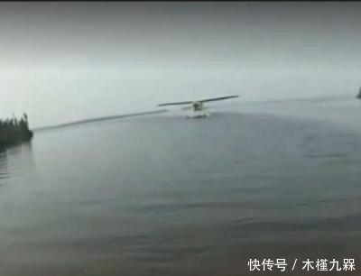 河里|女子把一条养了10年的鱼拿到河里放生,结果使女子无法淡定