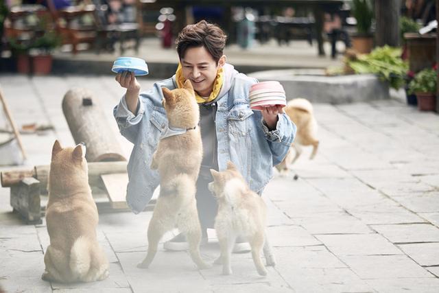  尴尬|《向往》中情商最低的嘉宾何炅和黄磊都带不动，大写的尴尬