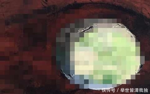 周某|美女如厕时透过“小孔”看到男厕“一条蛇”