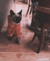 生活|搞笑GIF:在网吧多年,第一次看到这么懂得生活的少年