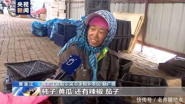 上半年|全国“菜篮子”产品供应总量充足 上半年生猪生产好于预期