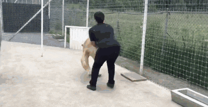 入口|搞笑GIF：小伙子，按照这个牌示，很可能这里就是入口，不要有怀疑，下去吧