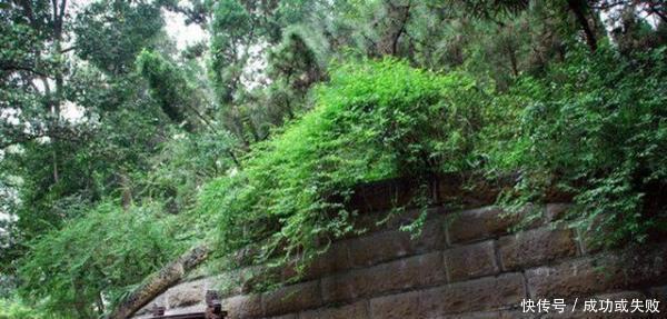 历史|诸葛亮安葬刘备时,在陵墓中设置连弩防盗墓贼考古发现历史真相!