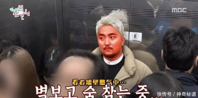 预感|这次我们抄袭不来,我预感它一定大火