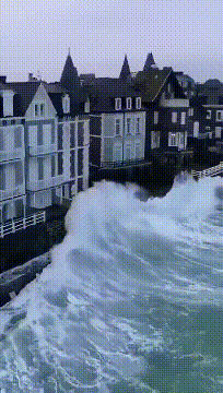 下雪|搞笑GIF:就喜欢下雪,每次都这样,不想回家!