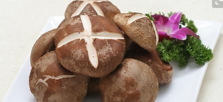 禁忌|多吃香菇身体棒棒,禁忌须知一点,想知道的看过来