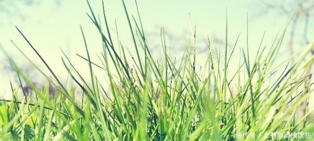 喜欢你|最优雅的人生哲理句子,短促而深情,不禁红眼