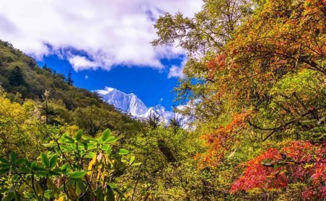  雨崩|近年大热的梅里北坡徒步，你可知它不止一条坡均小环线