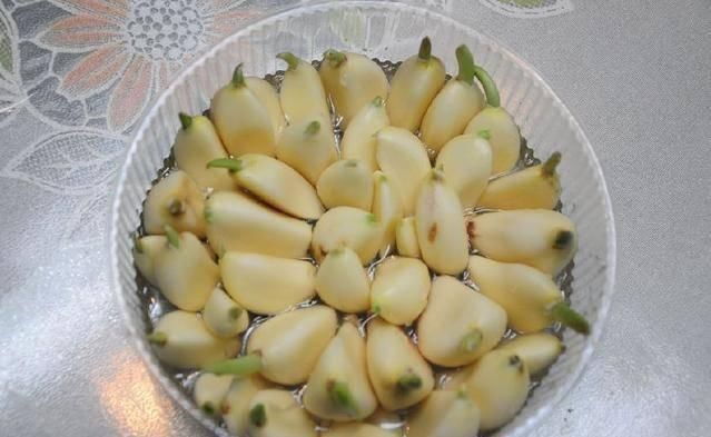 发芽|这4种“大蒜”不要买,买了也不要吃,赶快扔掉,看看你家有吗