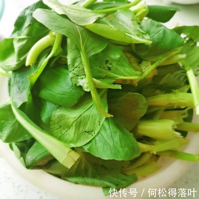 炒青菜|炒青菜,简单快手家常菜