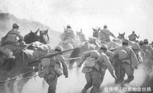 千岛群岛|日本讨要南千岛群岛的依据是啥? 日本网友: 苏联当年没签字