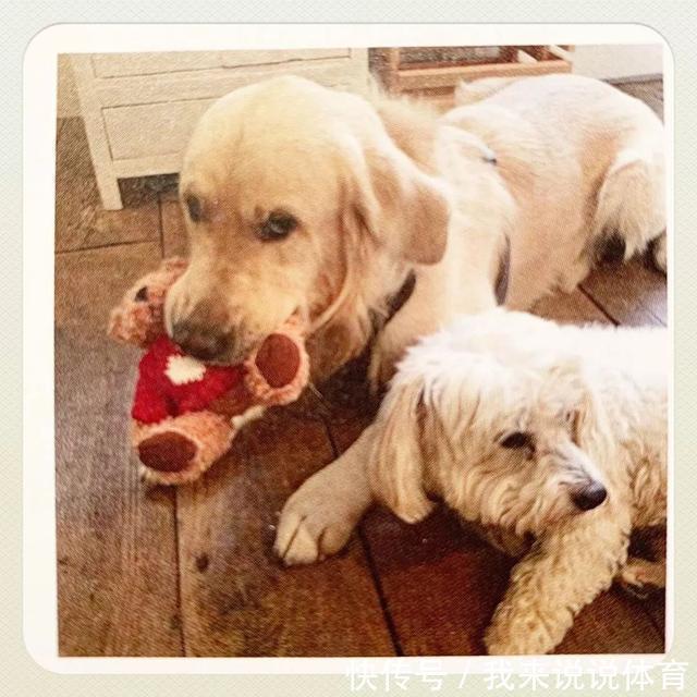  演绎|她是香奈儿首个专属模特，如今60岁，将法式优雅演绎到老