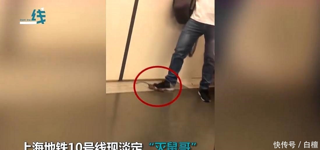  淡定|淡定！地铁小哥一脚踩住狂奔老鼠 ，瞅一眼继续玩手机