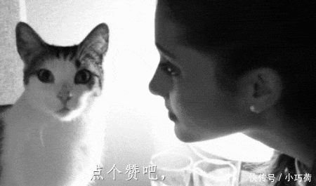 意外|“包装丑却意外好吃”的零食,图5易烊千玺同款,全吃过的服你!