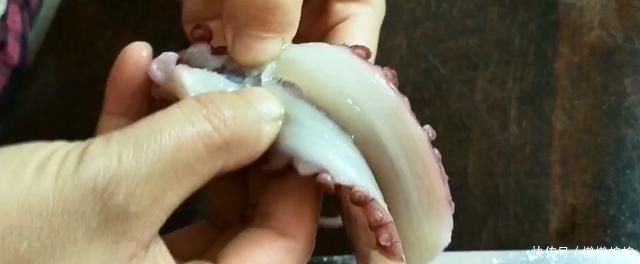 好吃|章鱼须这样做太好吃了,香嫩入味,麻辣爽口,好吃到停不下来