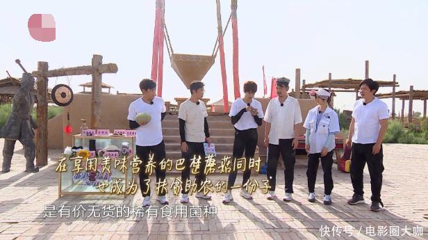  节目|超越原剧！《极限宝藏行》开播登顶，这到底是个什么神仙节目？