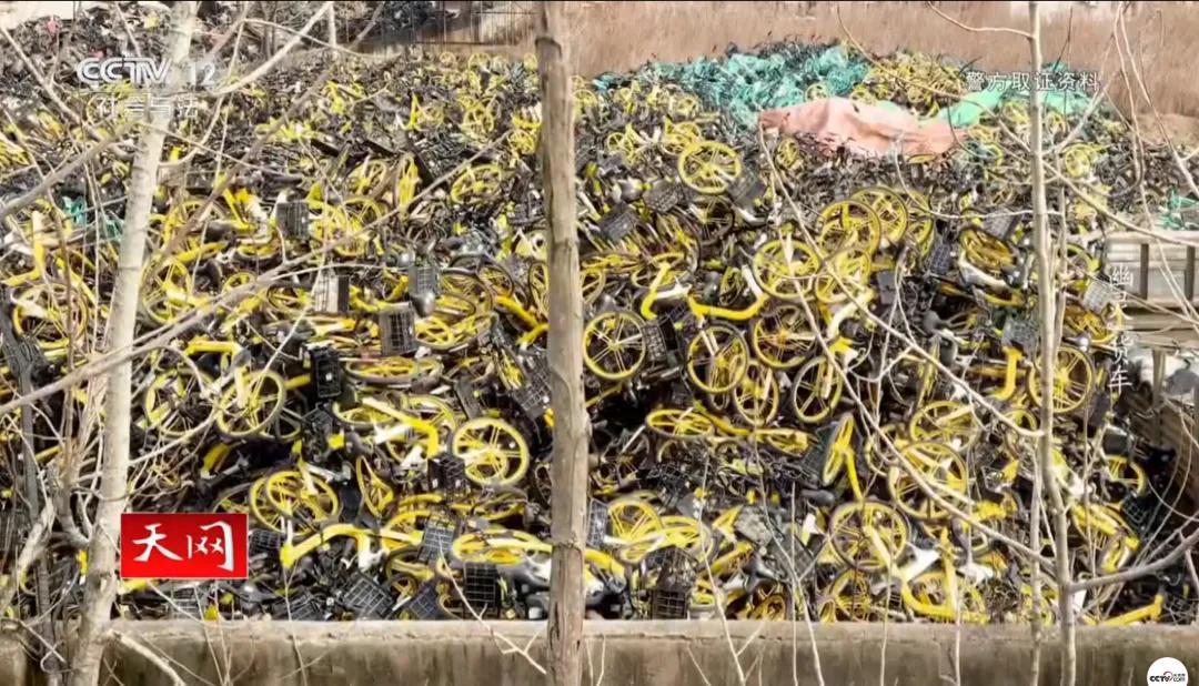 t11508c75c87db1e3d2e15e9be9.jpg?size=108