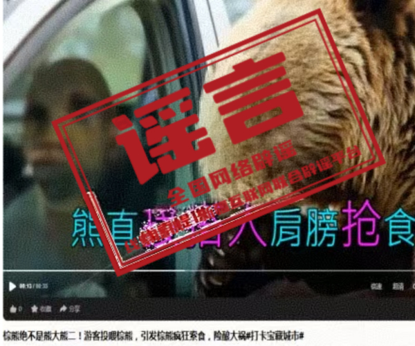 t11508c75c8cd610ebe15cea0a4.png?size=600