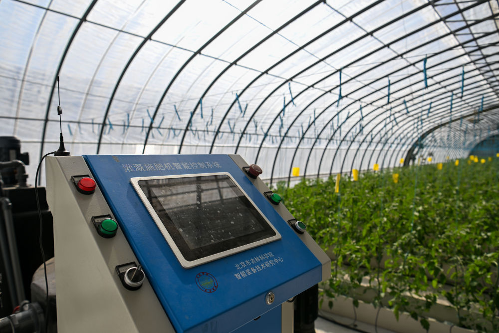 t11508c75c8e72377e2900b8d68.jpg?size=100