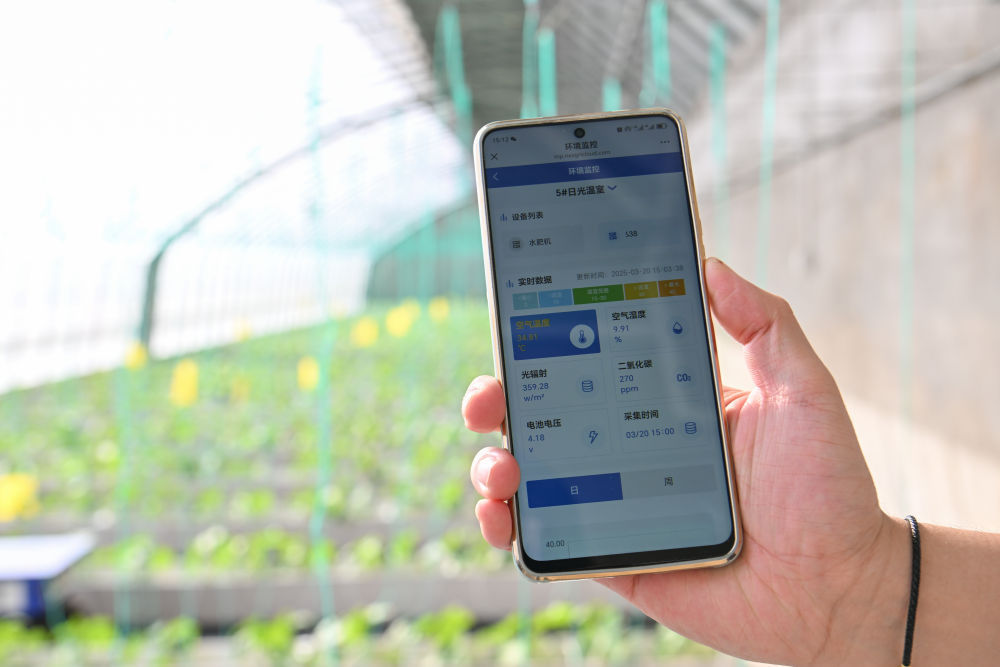 t11508c75c8eadb3c3cb60a39f1.jpg?size=100